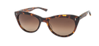 Hillier: Toasted Toffee