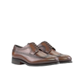 Dark Brown Longwings