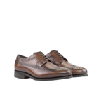 Dark Brown Longwings