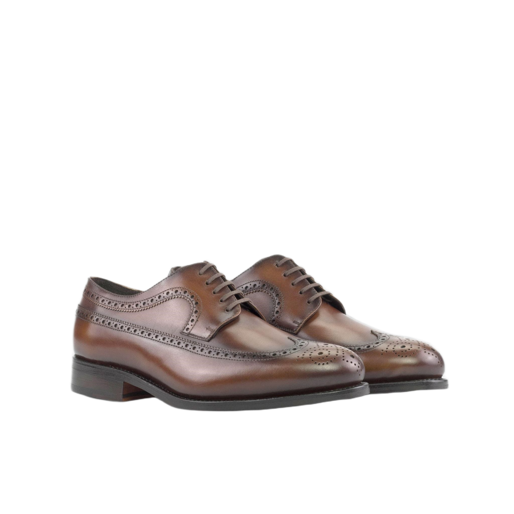 Dark Brown Longwings
