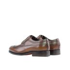 Dark Brown Longwings