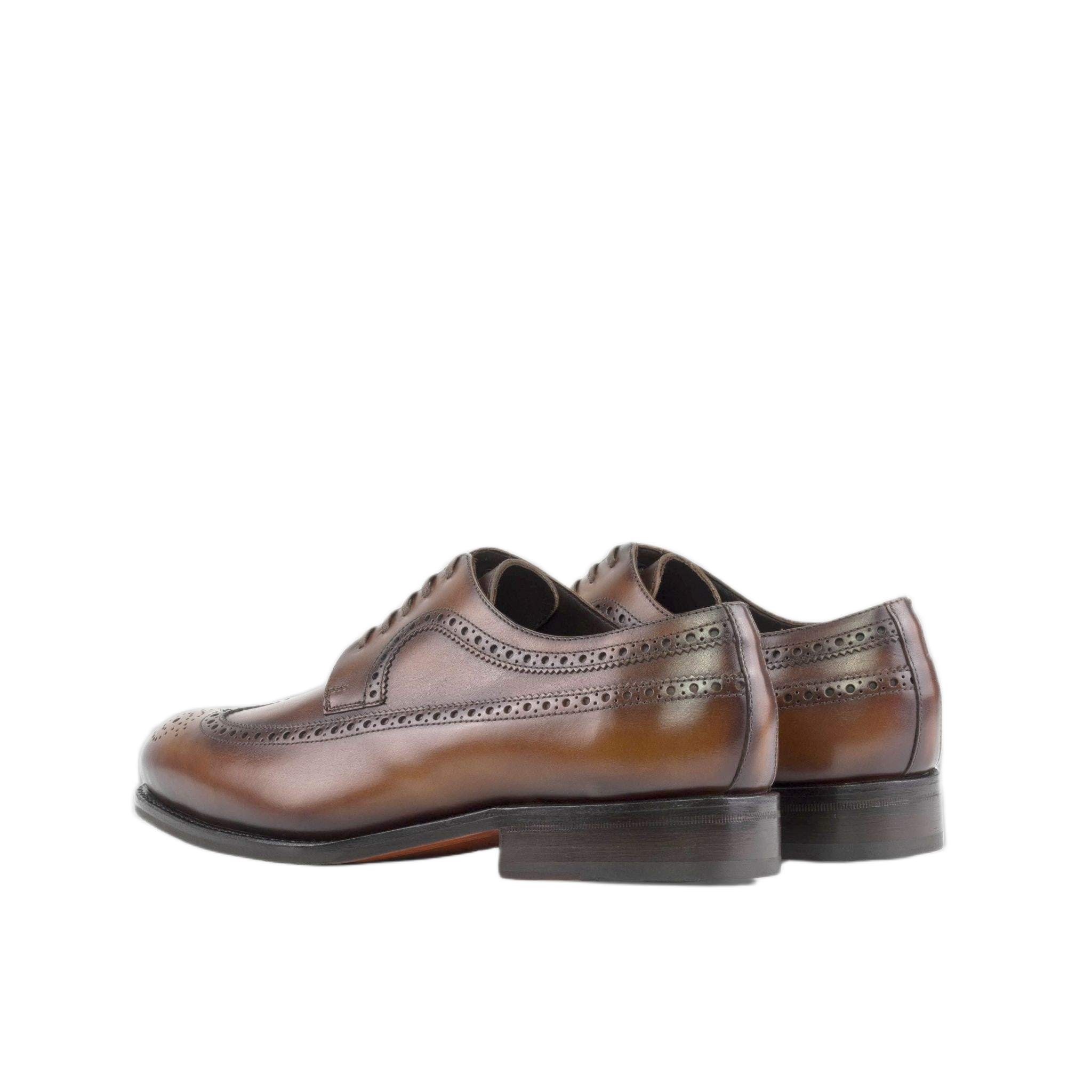 Dark Brown Longwings