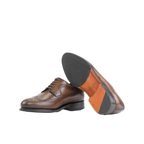 Dark Brown Longwings