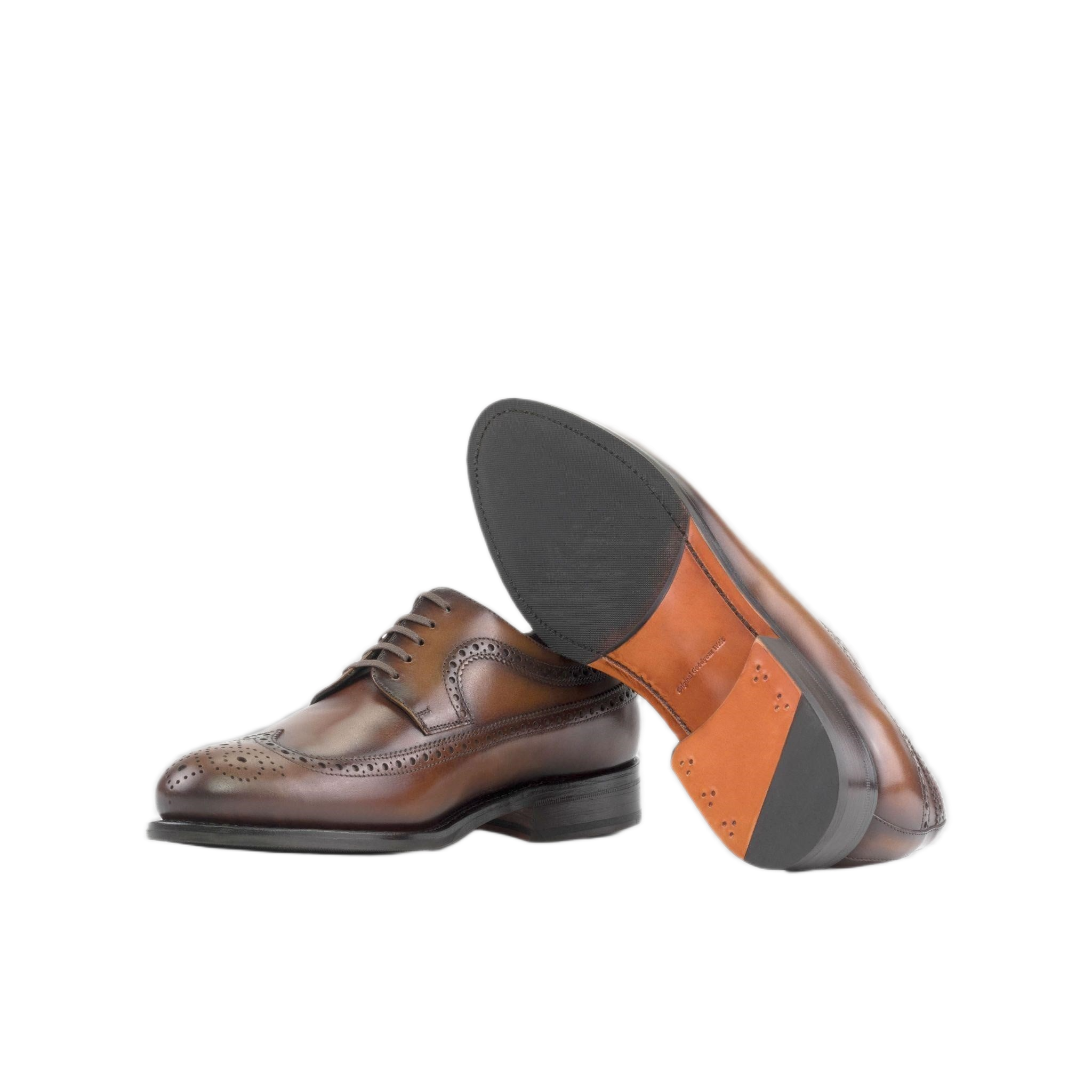 Dark Brown Longwings