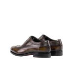 Tobacco  Longwings