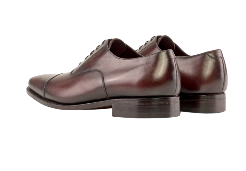 Burgundy Oxford
