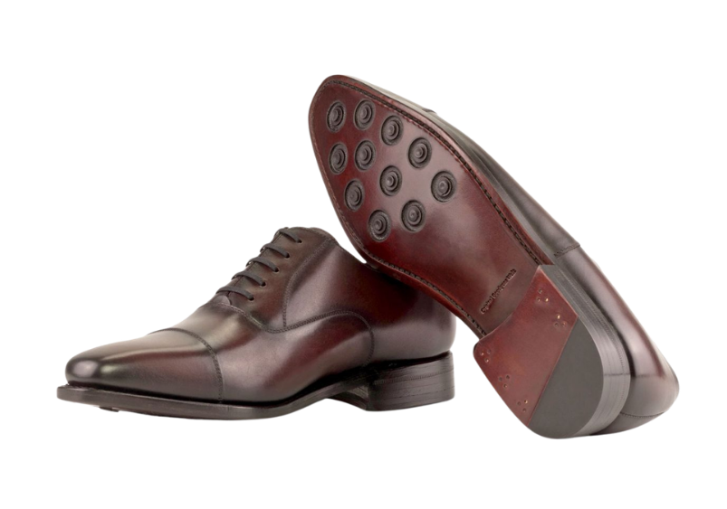 Burgundy Oxford